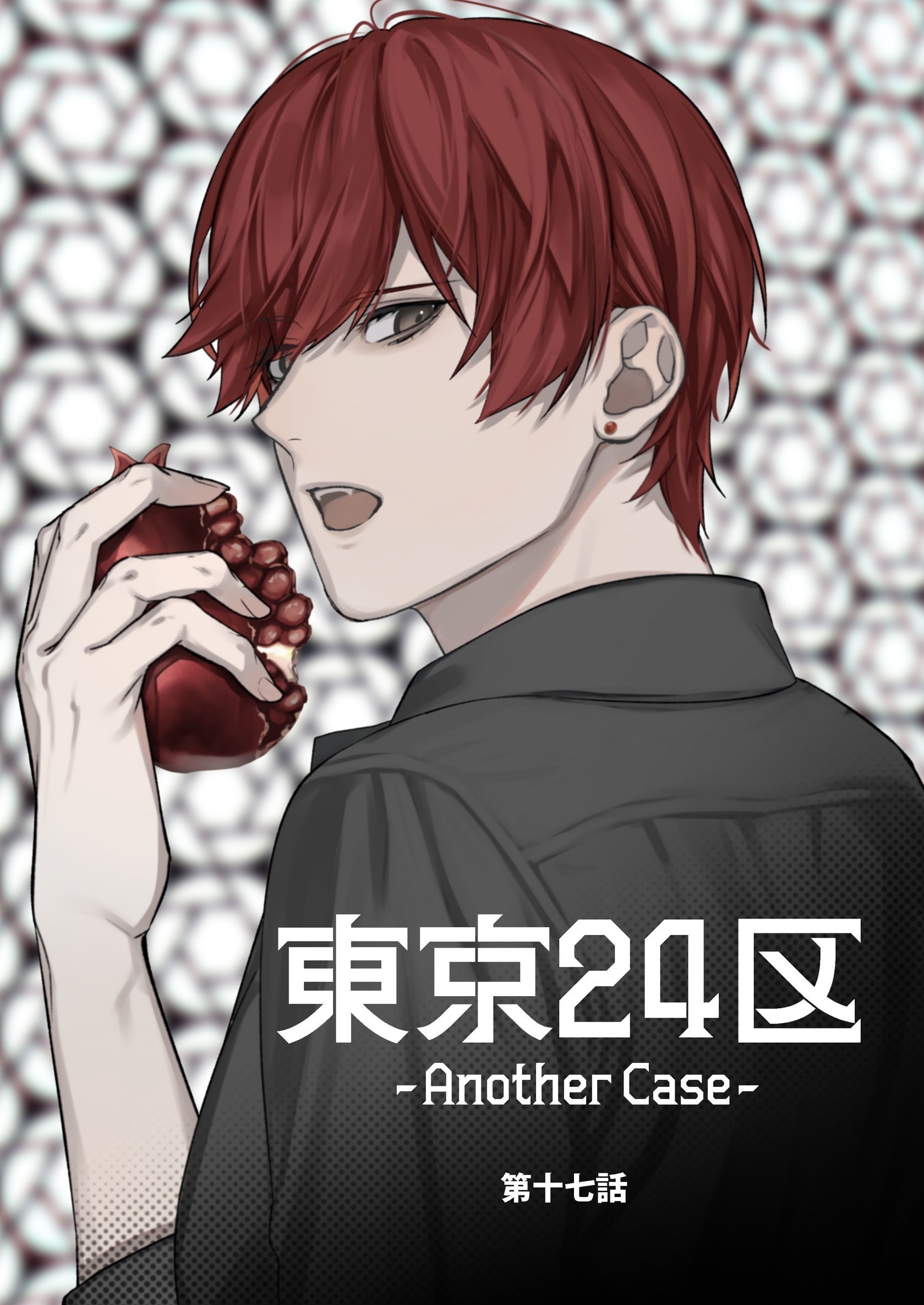 東京24区-Another Case-