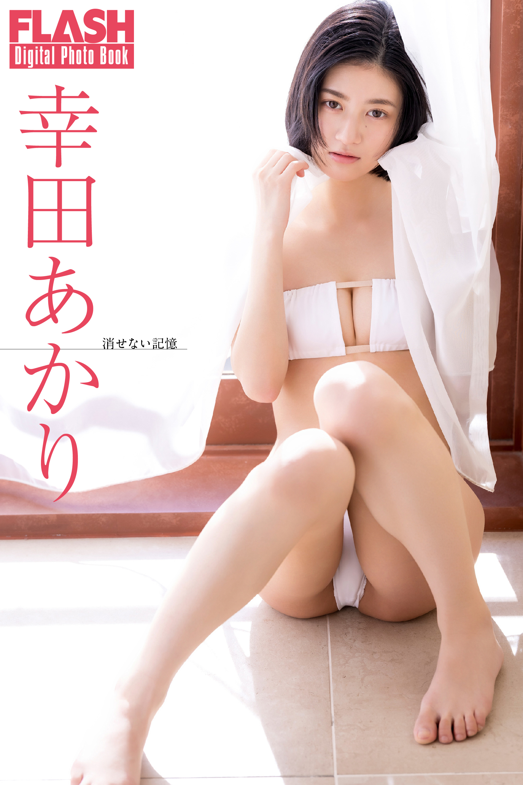 FLASHデジタル写真集　幸田あかり　消せない記憶