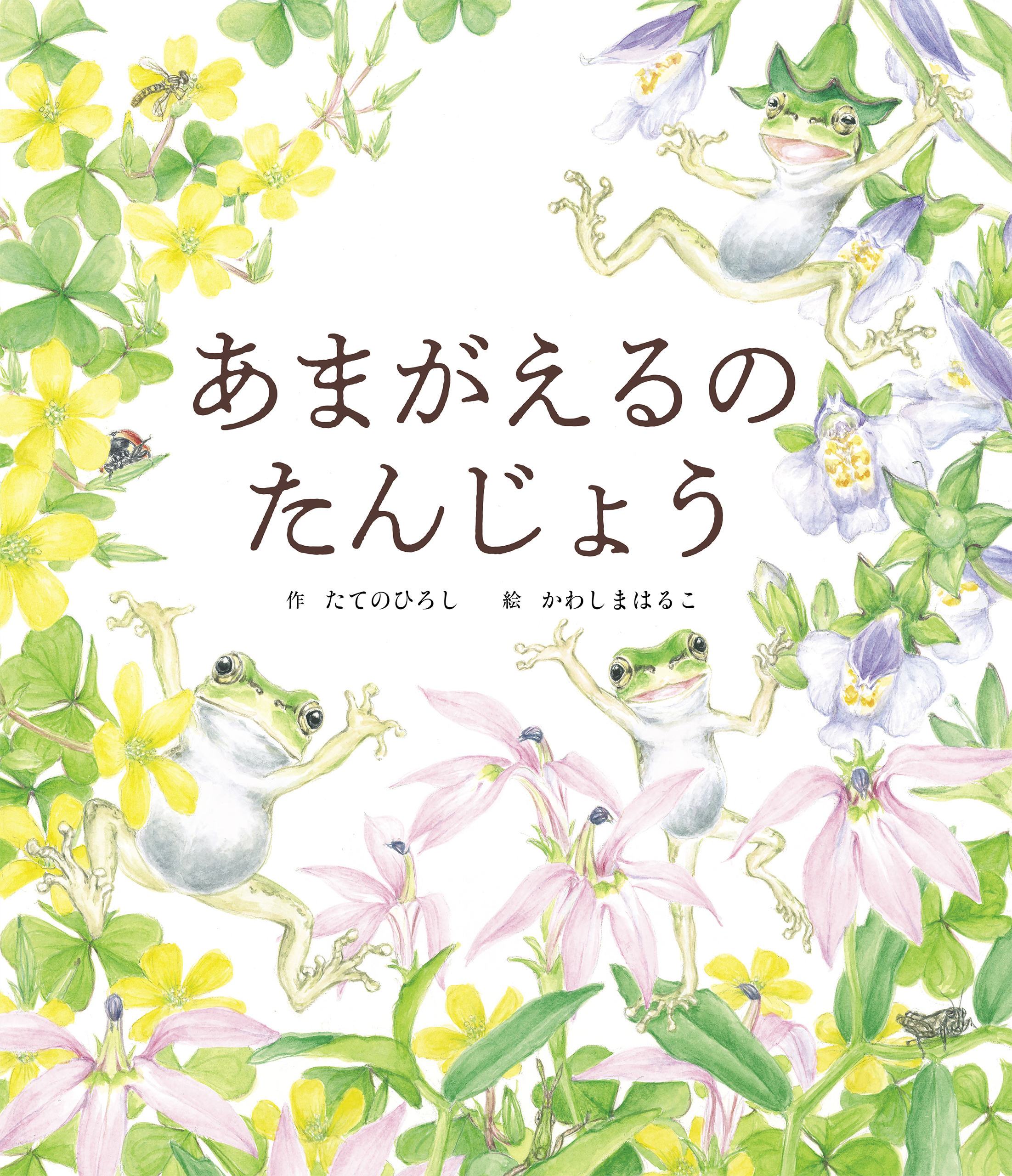 あまがえるの たんじょう