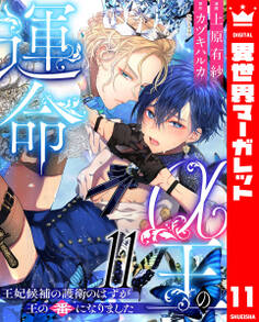 α王の運命~王妃候補の護衛のはずが王の番になりました~ 11