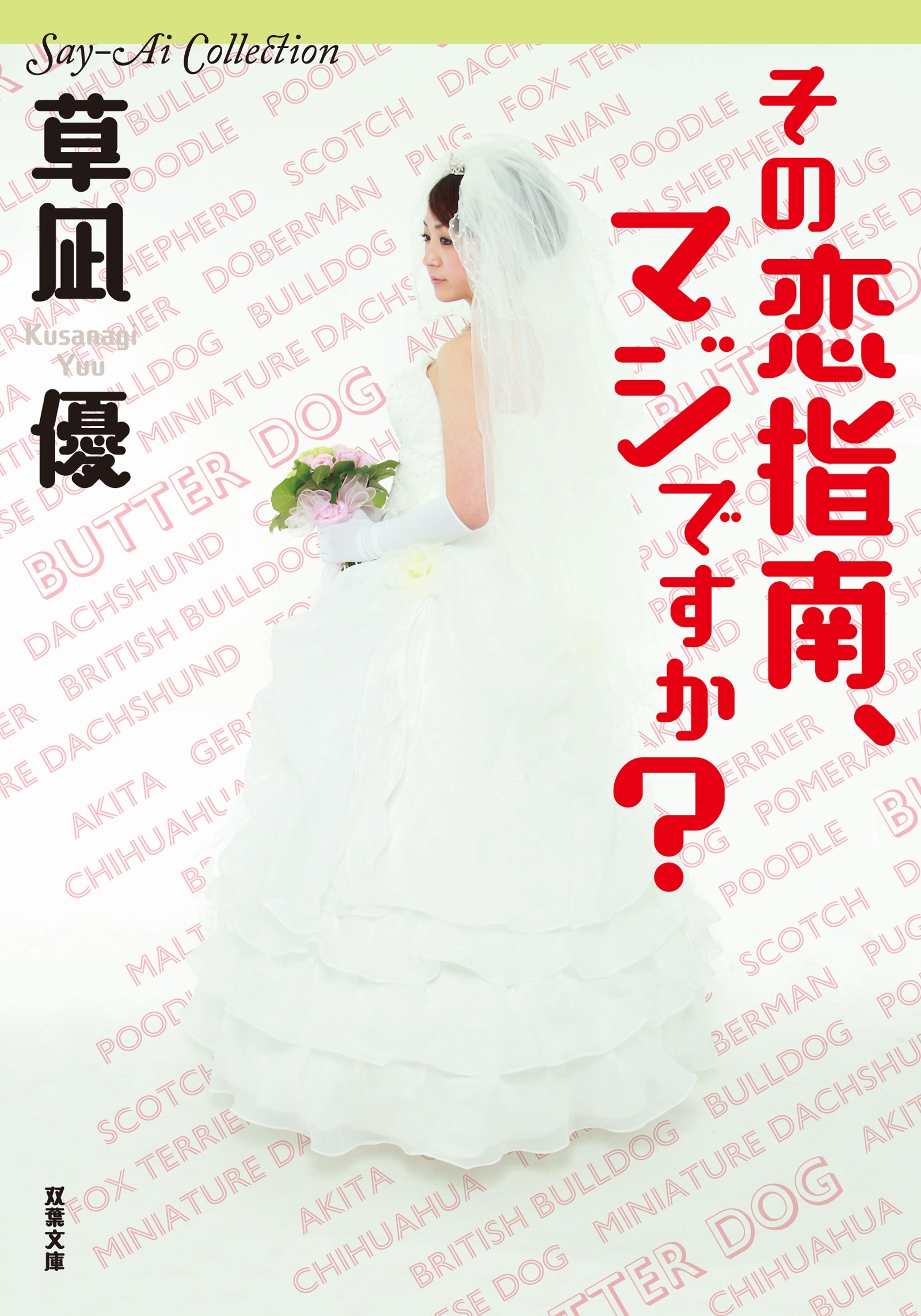 Say-Ai Collection その恋指南、マジですか？