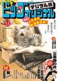 ビッグコミックオリジナル 2025年9号(2025年4月18日発売)