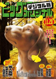 ビッグコミックオリジナル 2019年22号(2019年11月5日発売)
