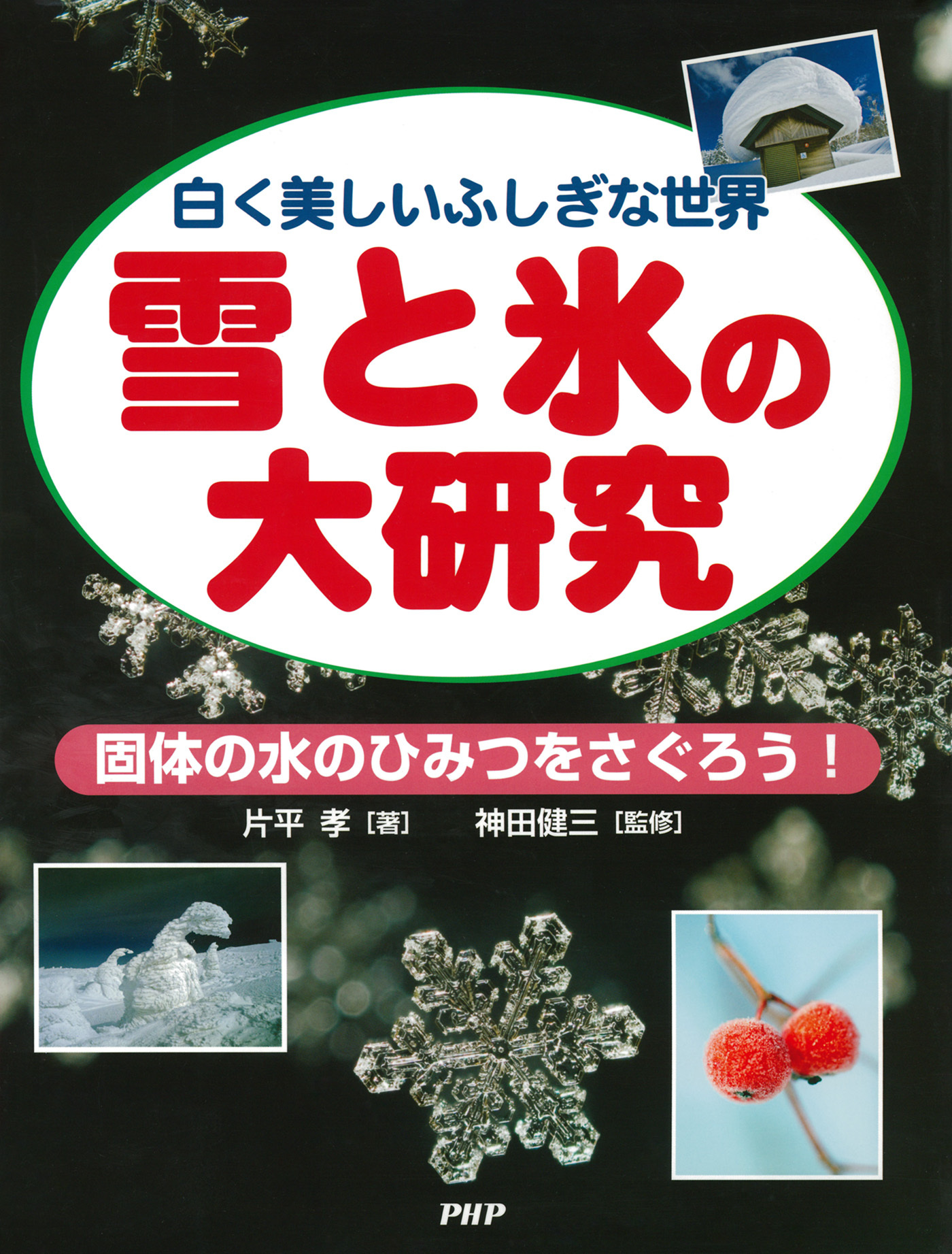 白く美しいふしぎな世界 雪と氷の大研究