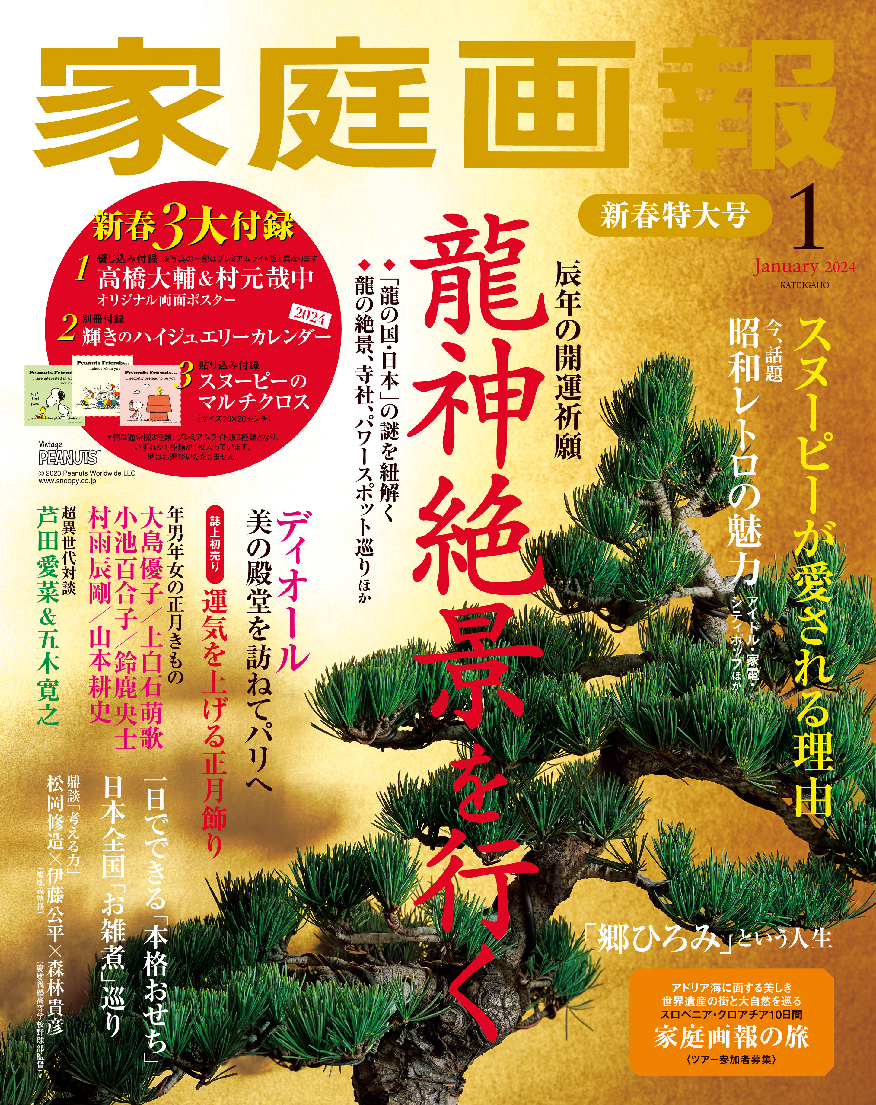 家庭画報2024年３月号 創刊67周年記念号 - 女性情報誌