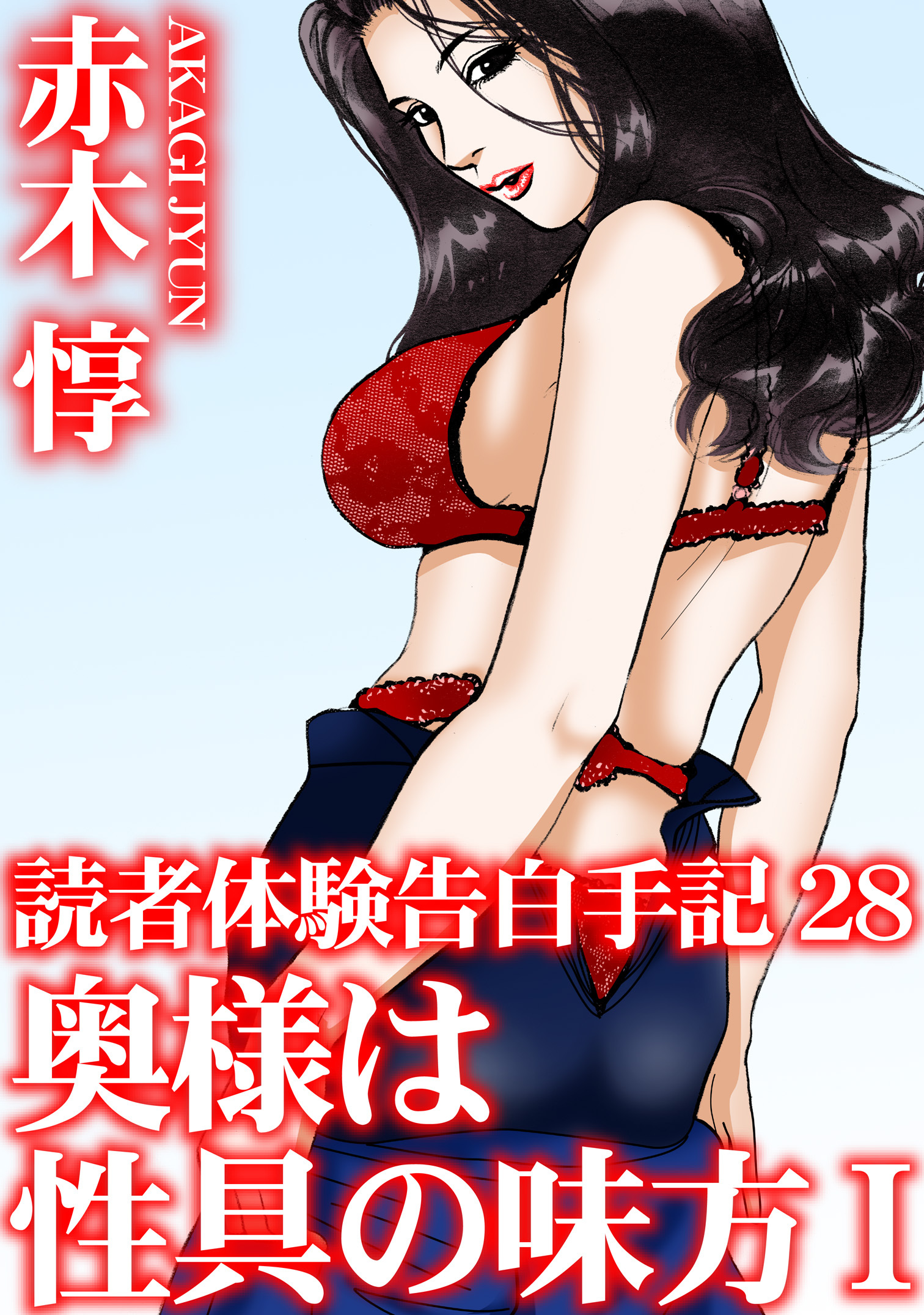 読者体験告白手記 28　奥様は性具の味方　I