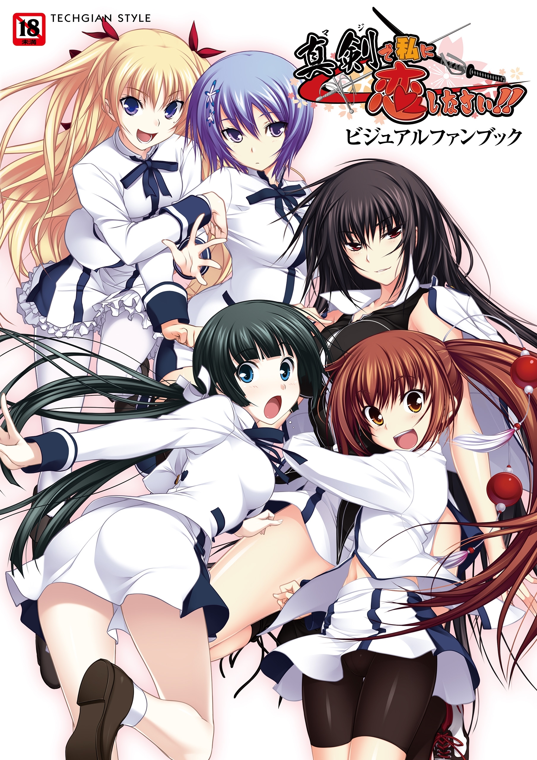 真剣で私に恋しなさい! ビジュアルファンブック