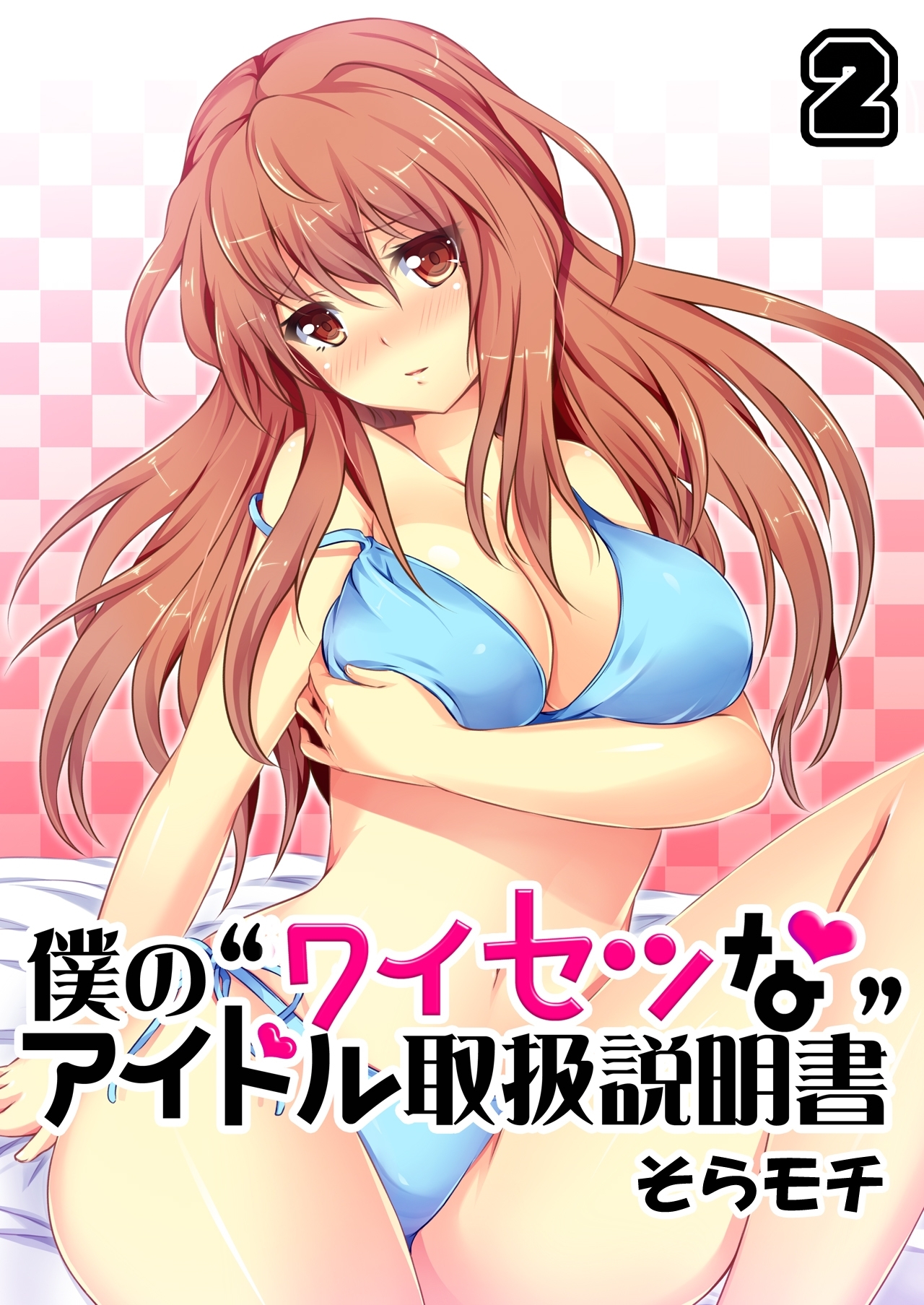 僕の“ワイセツな”アイドル取扱説明書（2）