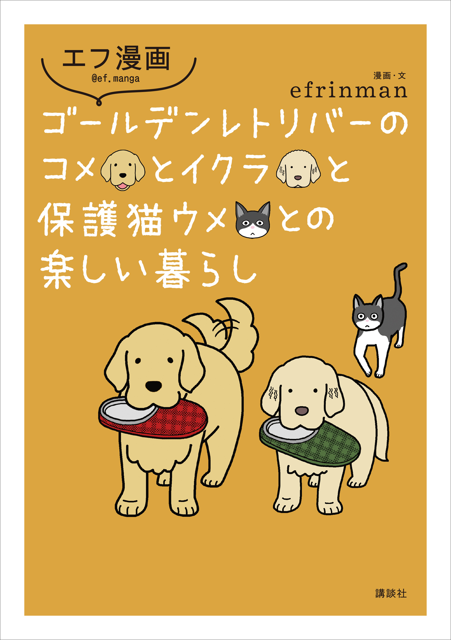 エフ漫画