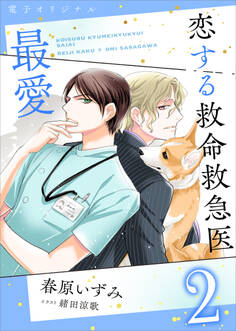 恋する救命救急医 最愛2 【電子オリジナル】