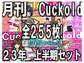 月刊Cuckold 23年上半期セット