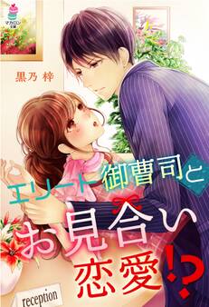 エリート御曹司とお見合い恋愛!?