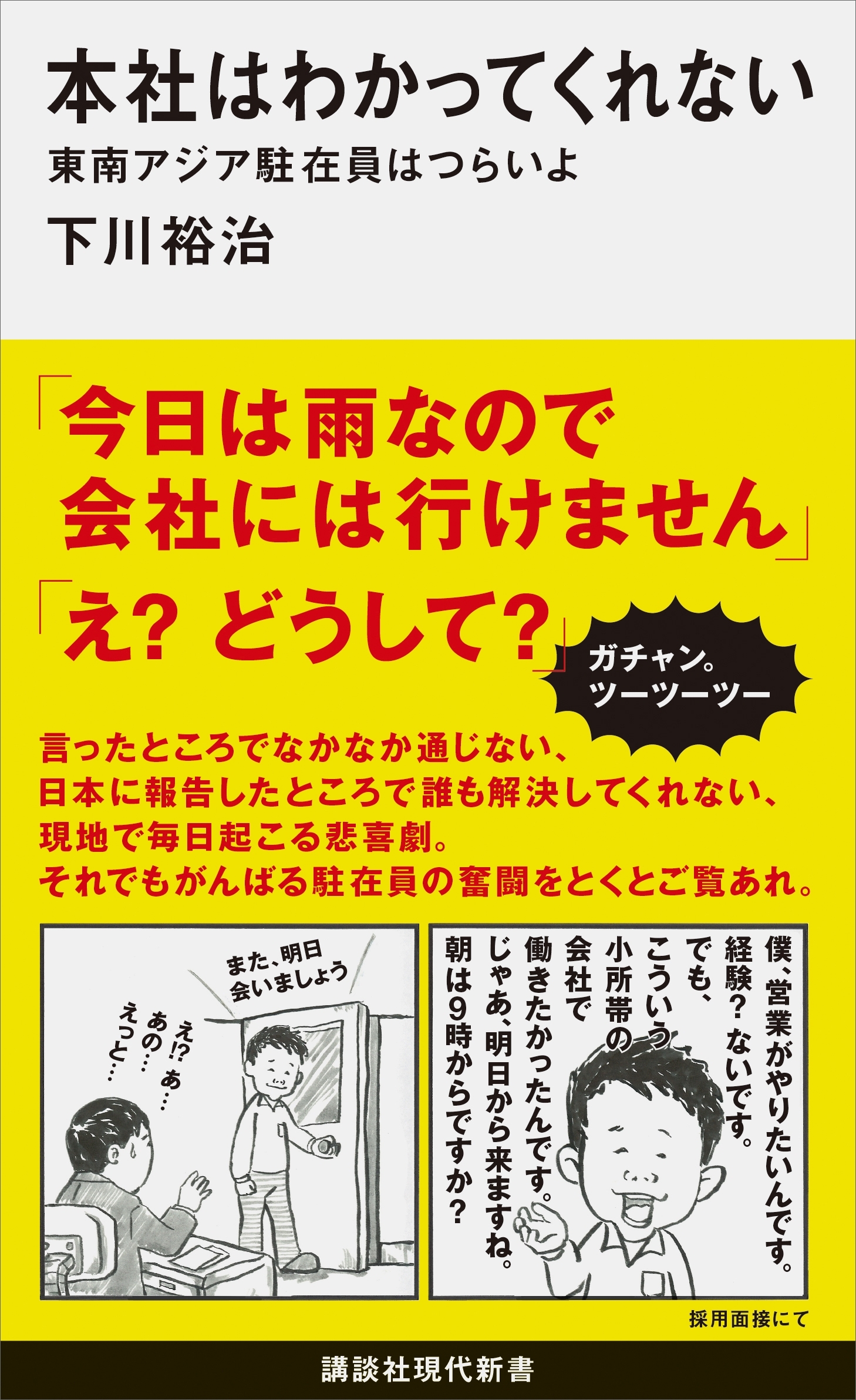 本社はわかってくれない　東南アジア駐在員はつらいよ
