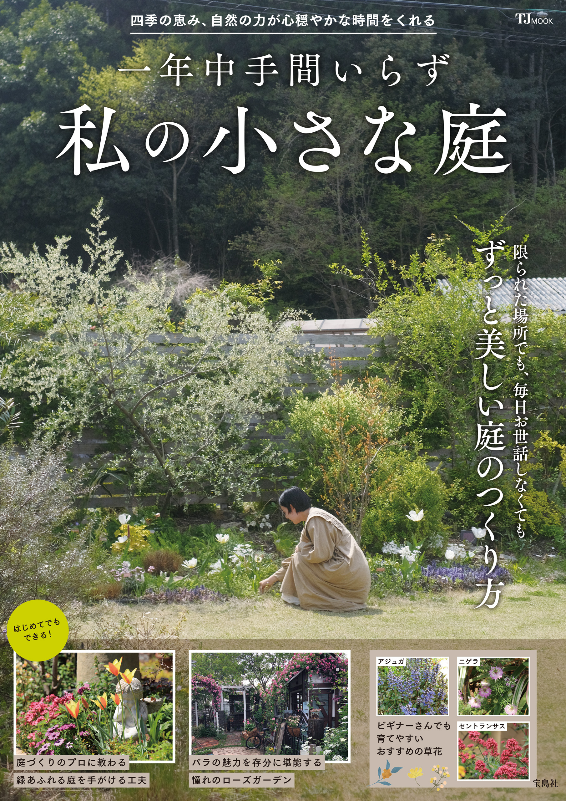 一年中手間いらず 私の小さな庭