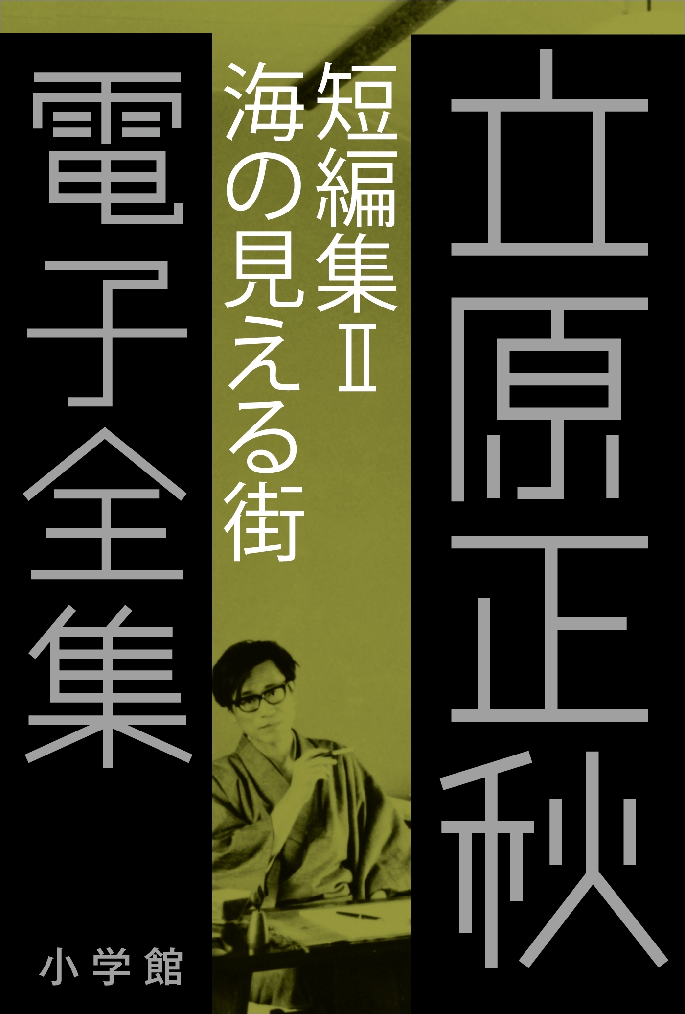 立原正秋 電子全集13 『短編集II　海の見える街』