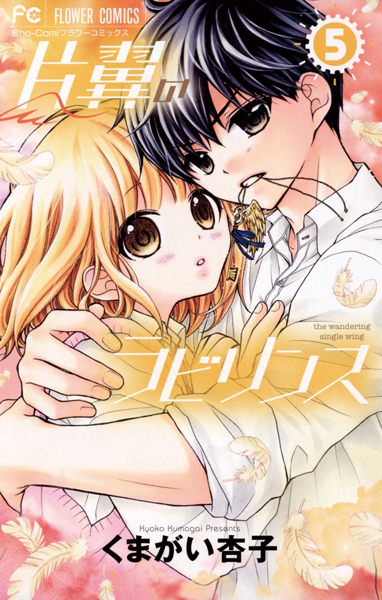 片翼のラビリンス　5