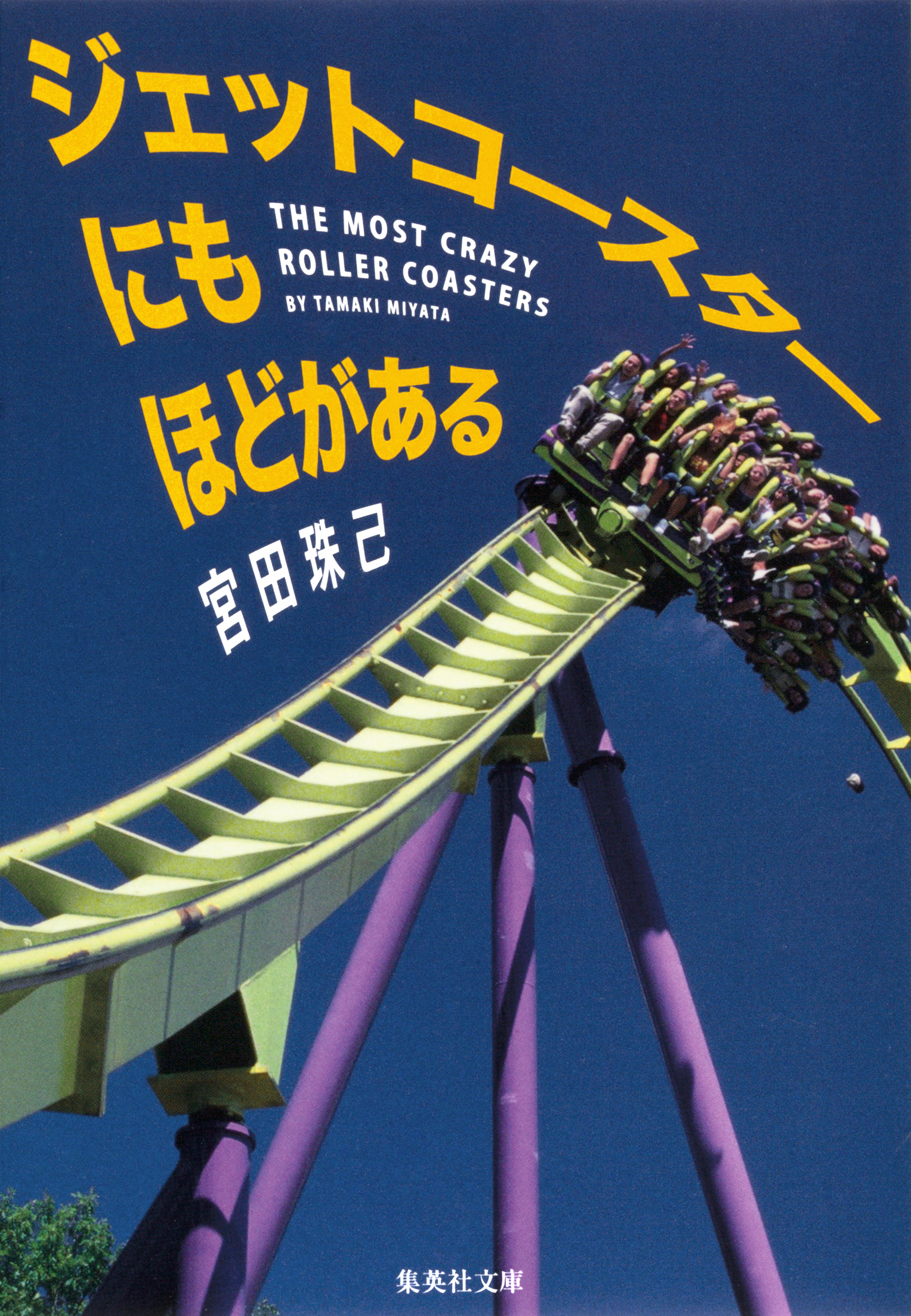 ジェットコースターにもほどがある