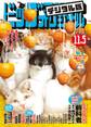 ビッグコミックオリジナル 2019年21号(2019年10月19日発売)