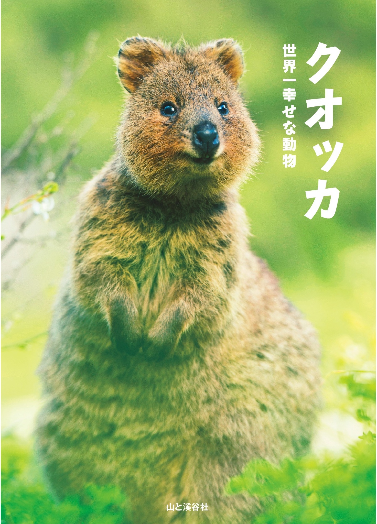 クオッカ　世界一幸せな動物