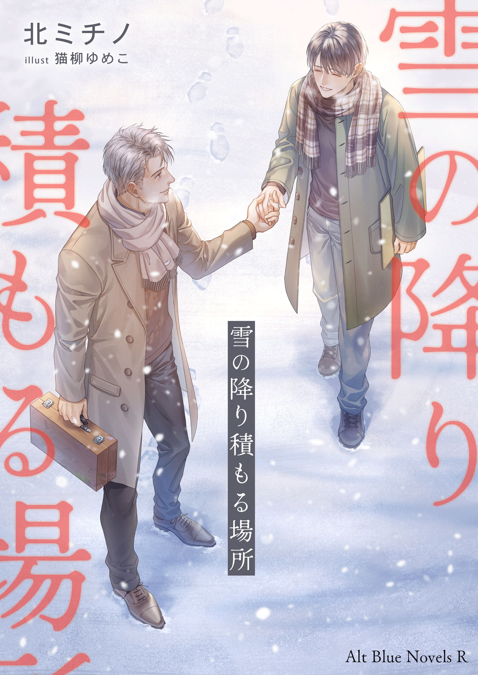 雪の降り積もる場所