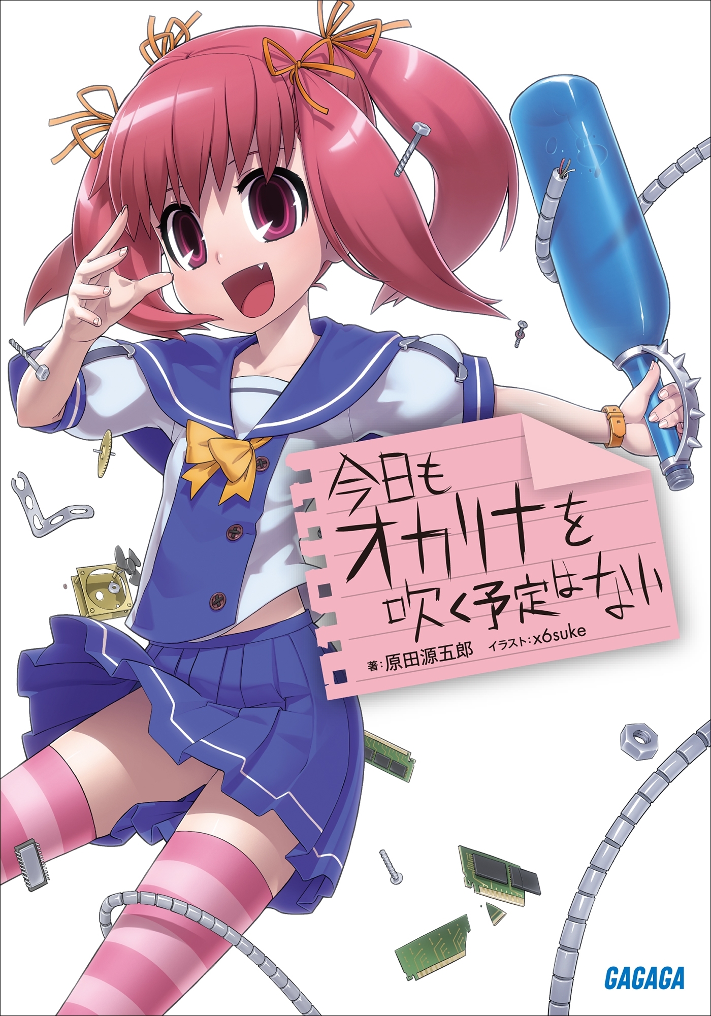 今日もオカリナを吹く予定はない