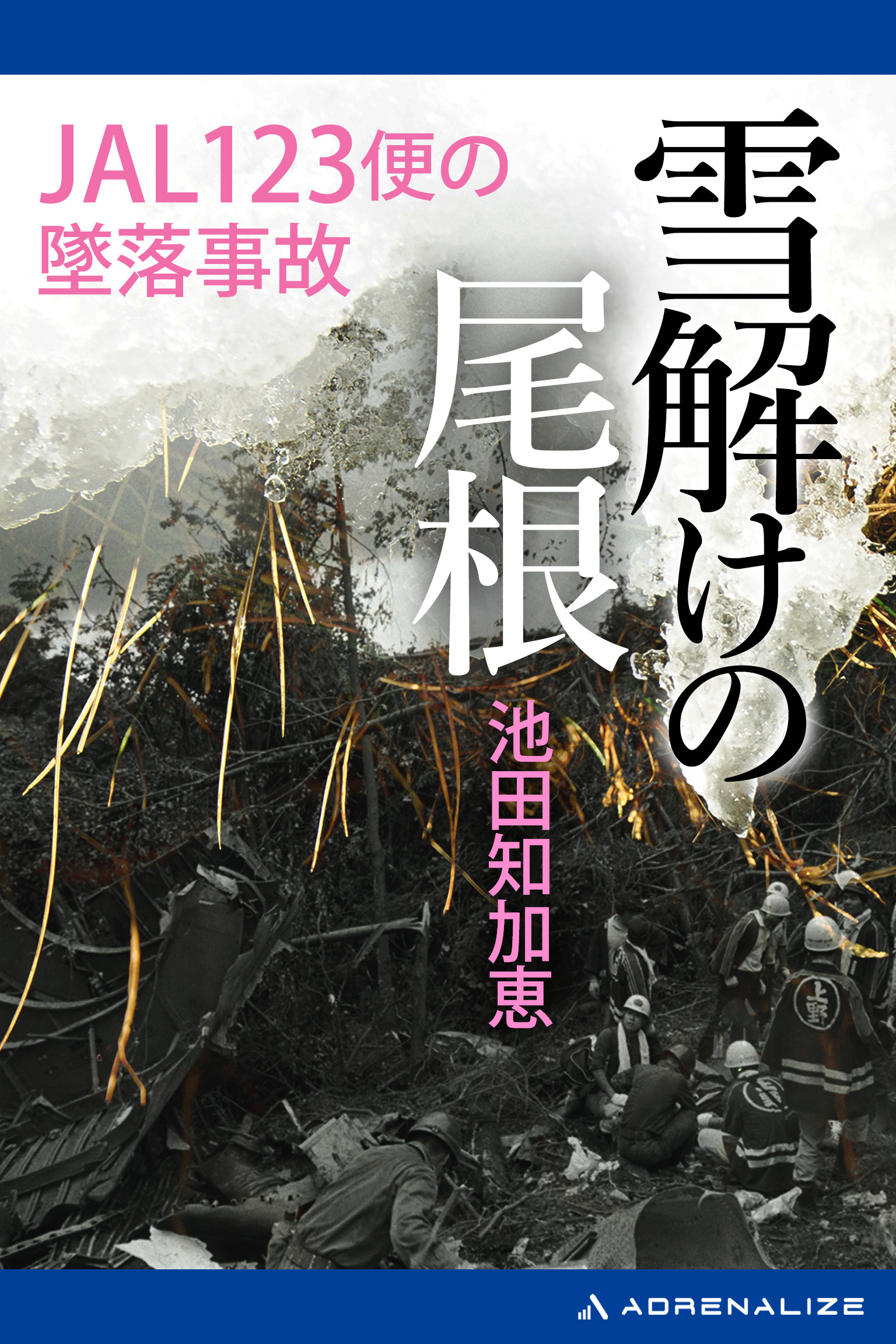 雪解けの尾根　JAL123便の墜落事故