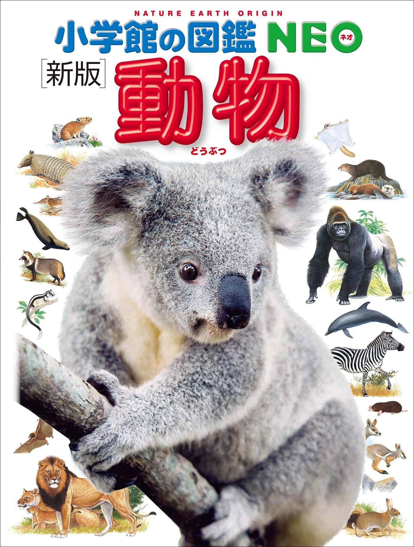 小学館の図鑑NEO〔新版〕動物