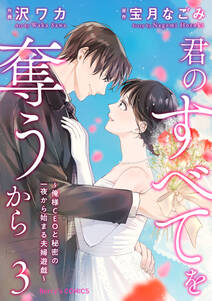 君のすべてを奪うから~俺様CEOと秘密の一夜から始まる夫婦遊戯~