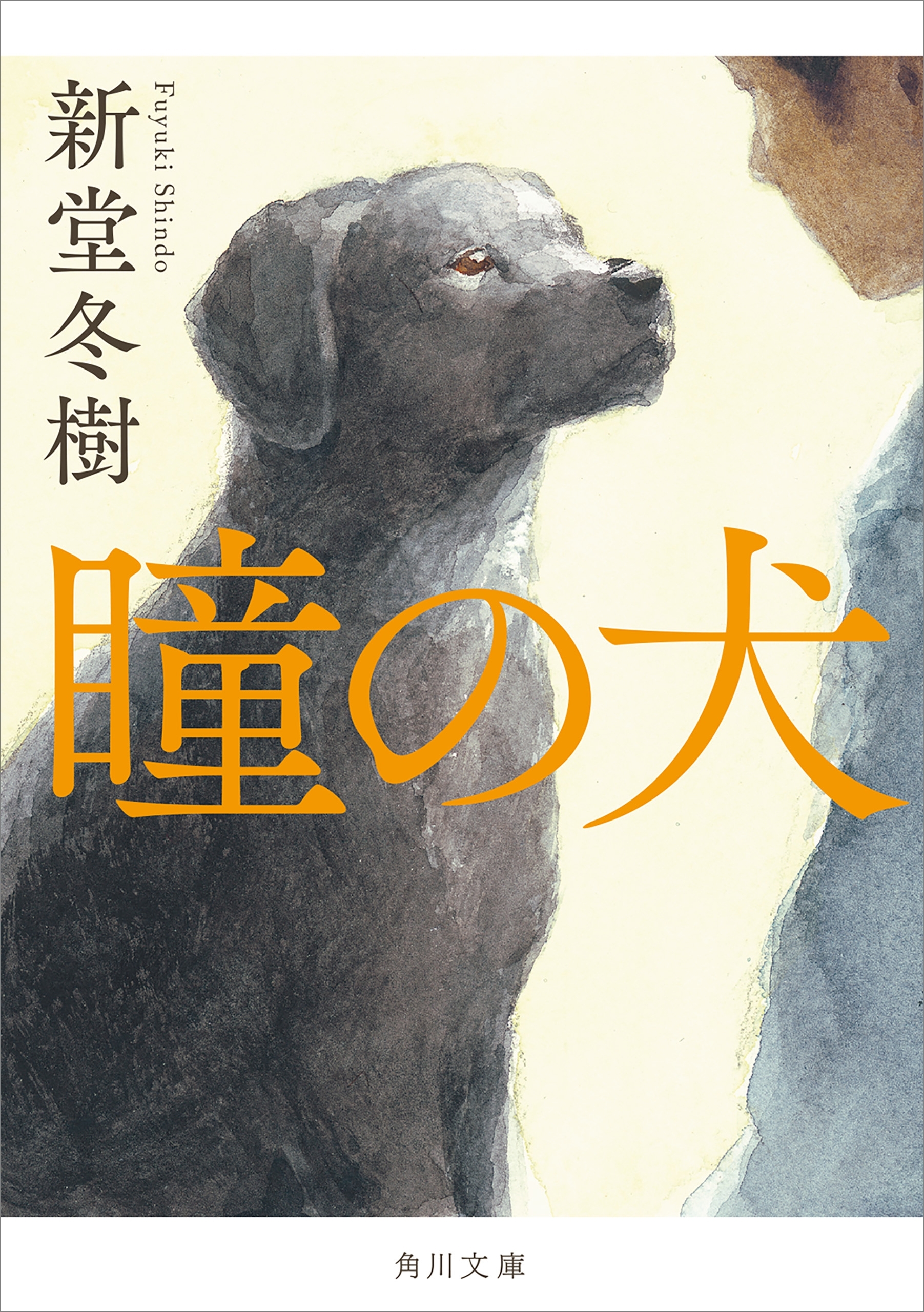 瞳の犬