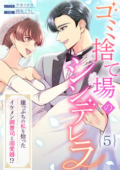 ゴミ捨て場のシンデレラ ~崖っぷちの私を拾ったイケメン御曹司と溺愛婚!?~