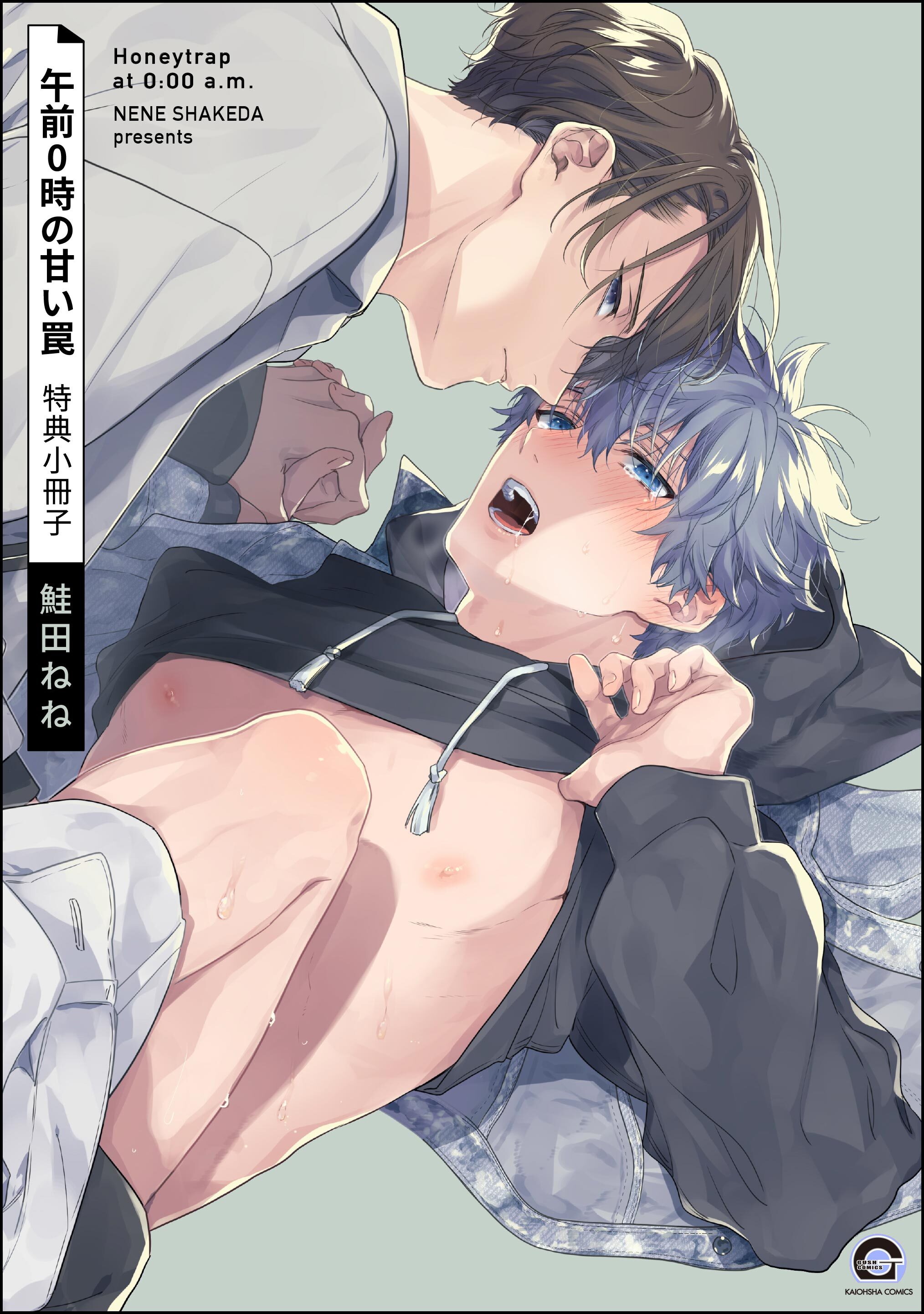 午前0時の甘い罠 特典小冊子