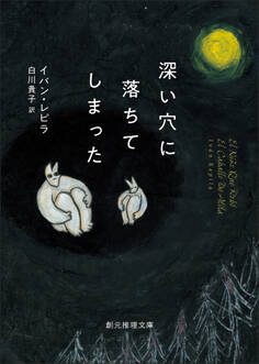 深い穴に落ちてしまった