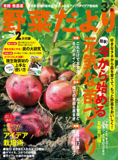野菜だより2014年3月号