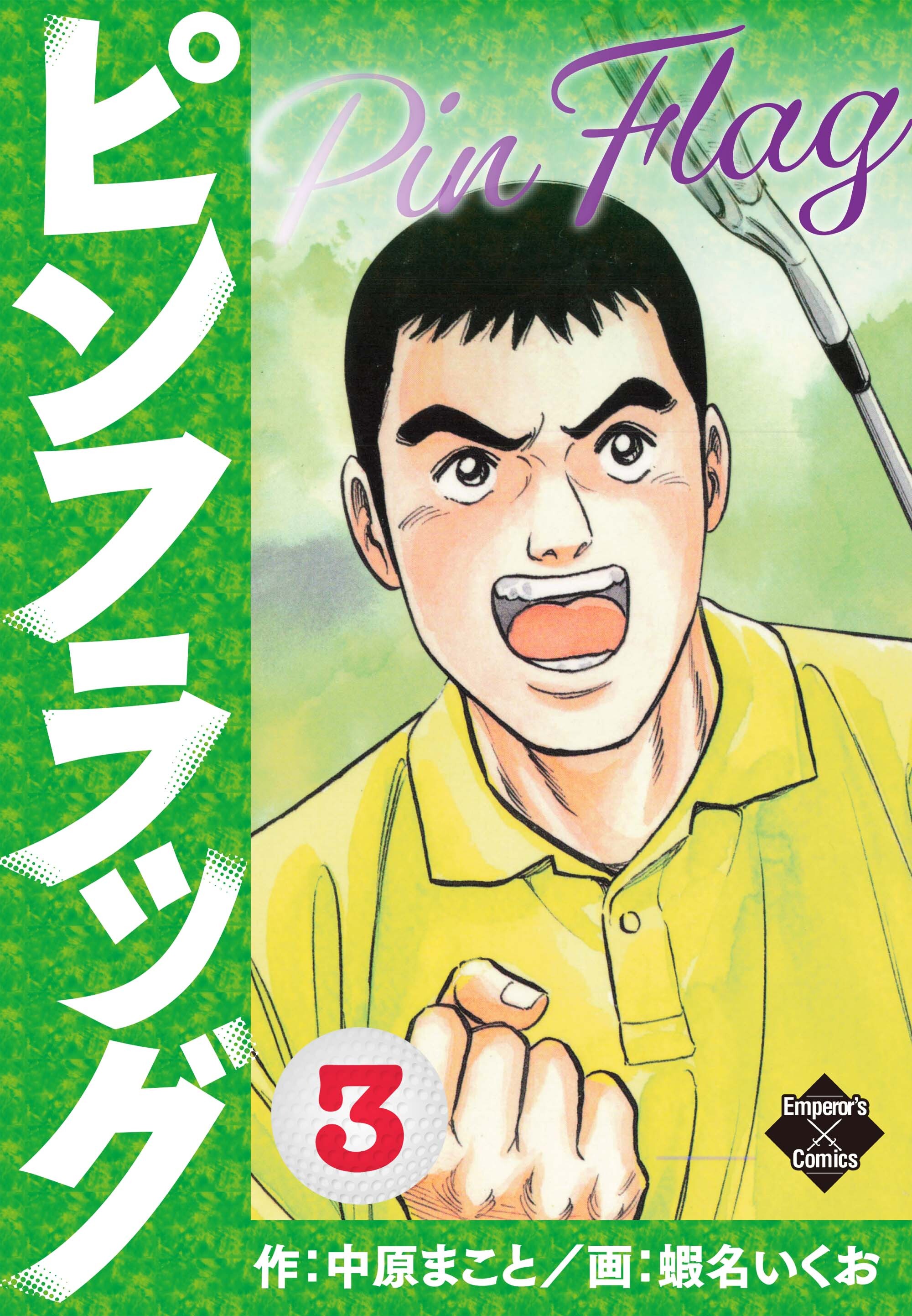 ピンフラッグ 3