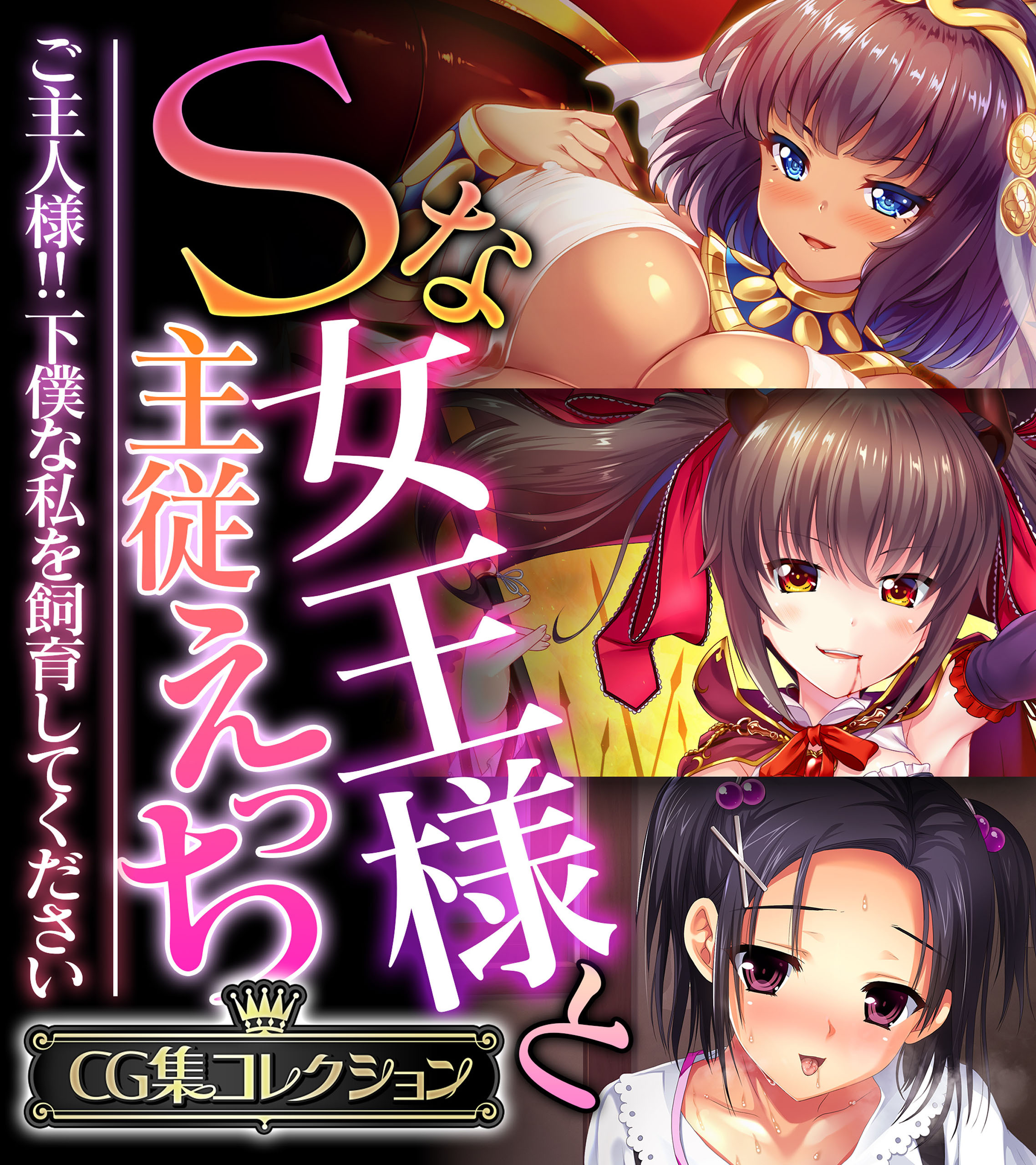Sな女王様と主従えっち ～ご主人様！！下僕な私を飼育してください～【CG集コレクション】