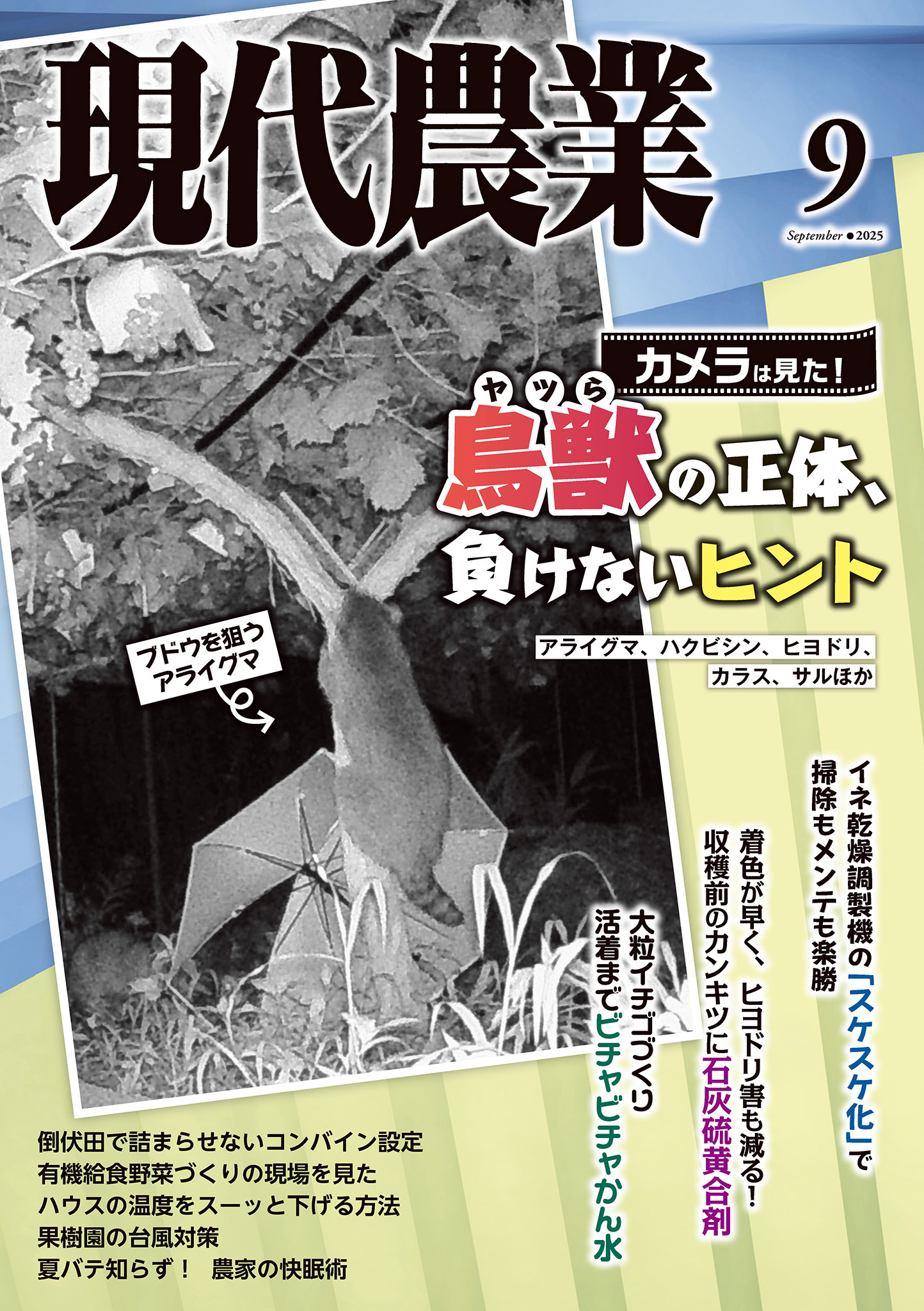 現代農業2025年9月号