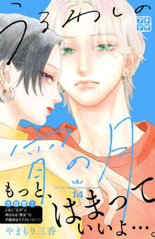 うるわしの宵の月 プチデザ(14)