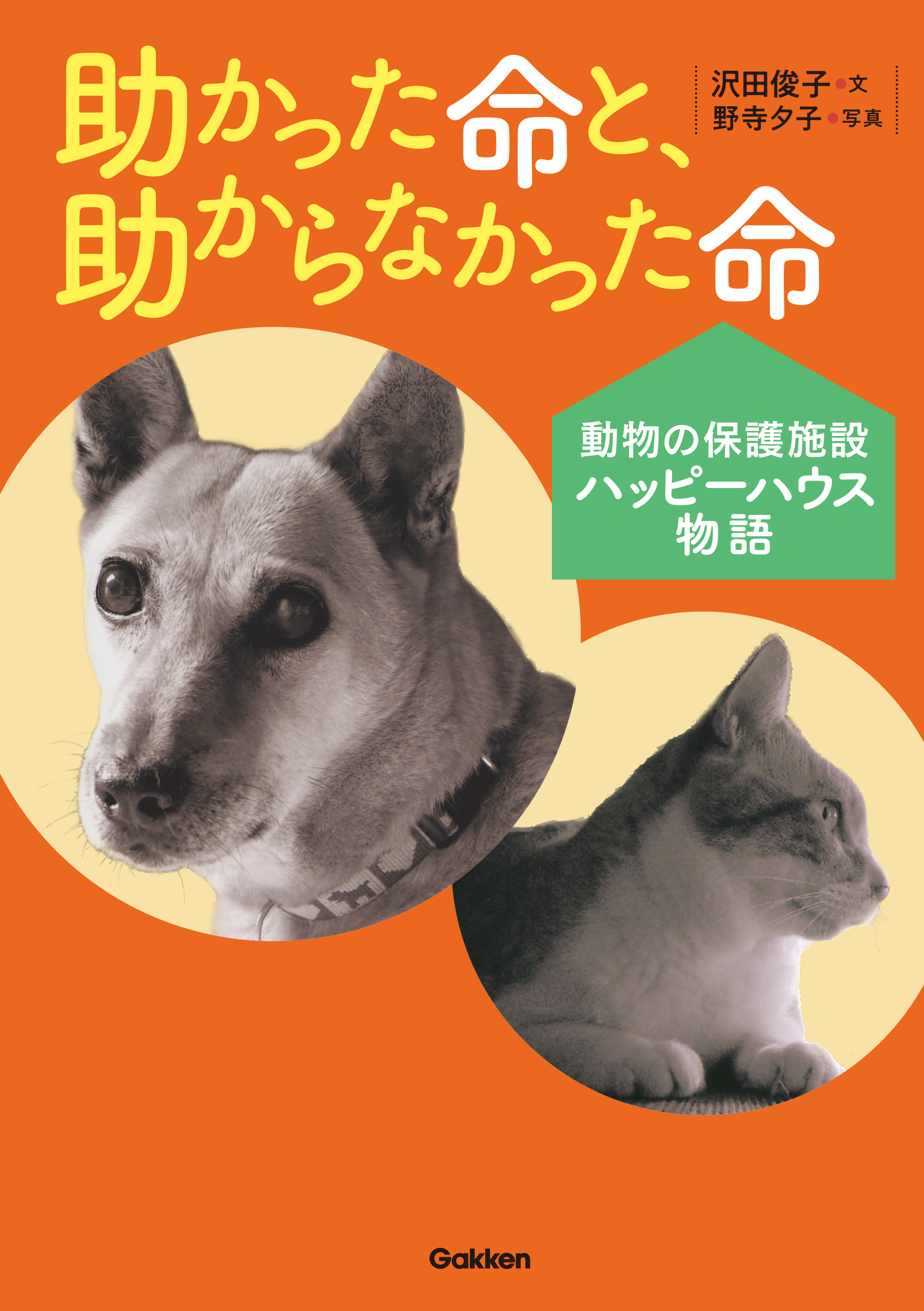 助かった命と、助からなかった命 動物の保護施設ハッピーハウス物語