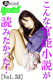 こんな官能小説が読みたかった!vol.53
