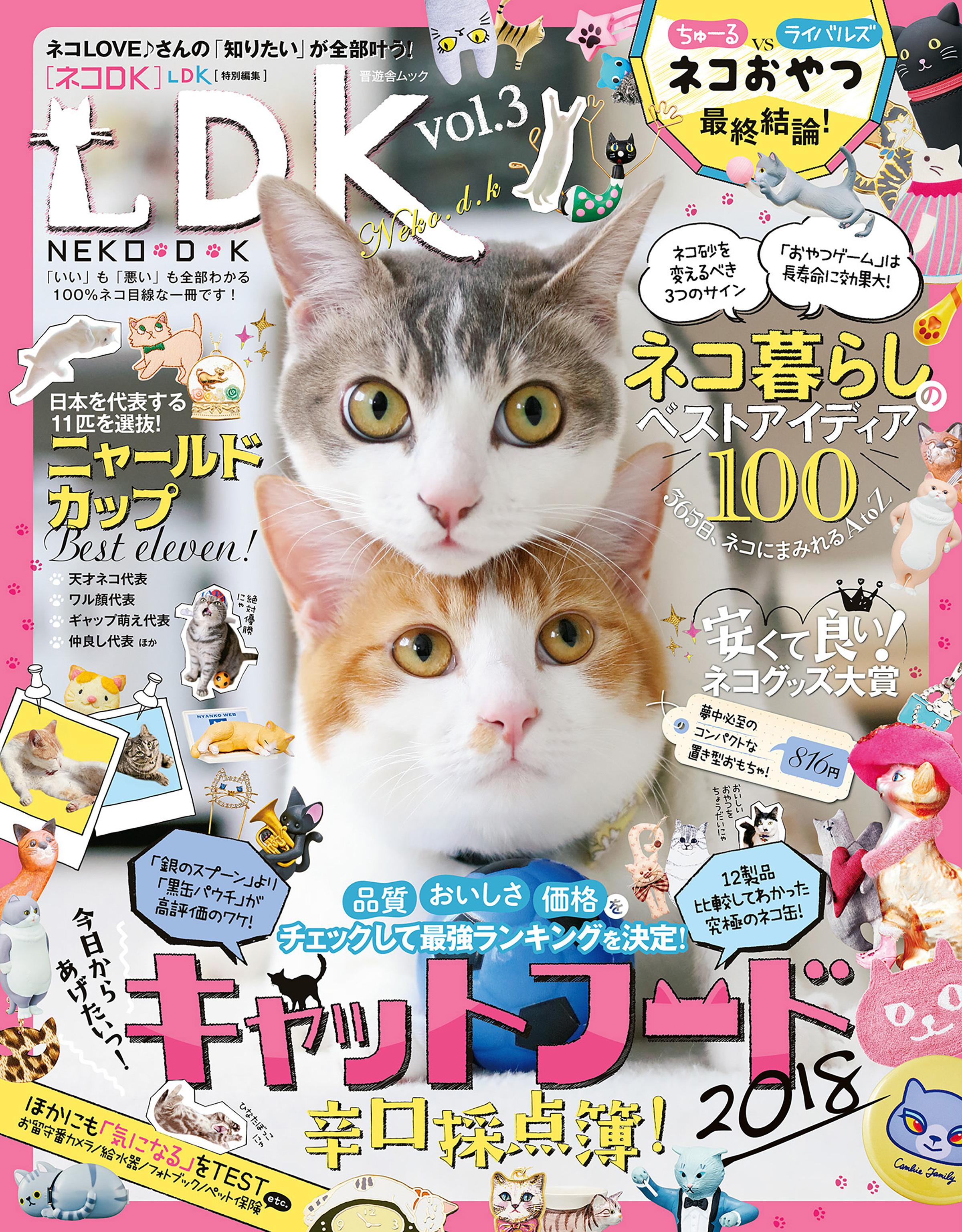 晋遊舎ムック ネコＤＫ　ｖｏｌ．３