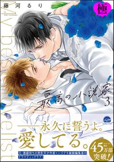 最高の小説家【極】