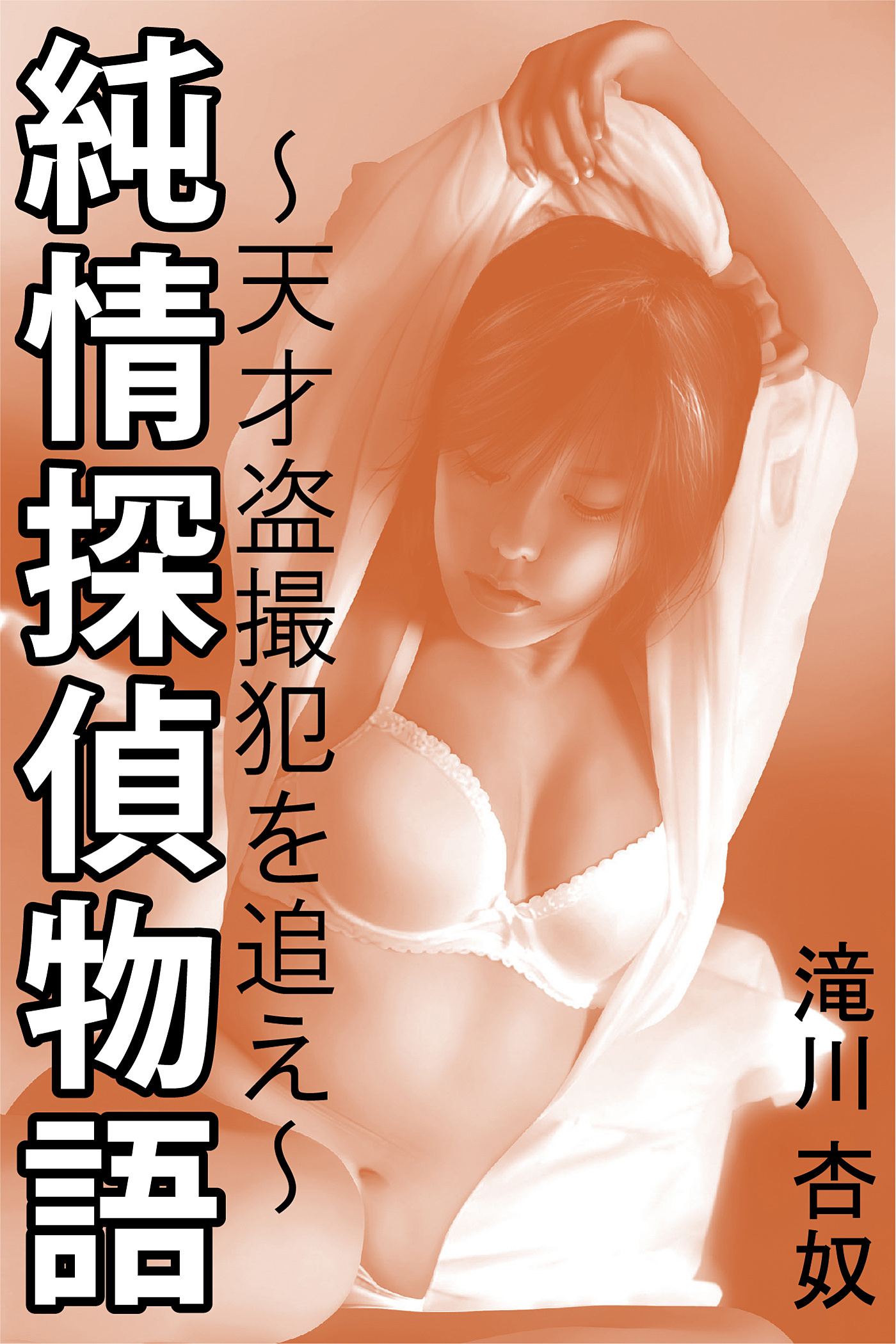 純情探偵物語～天才盗撮犯を追え～