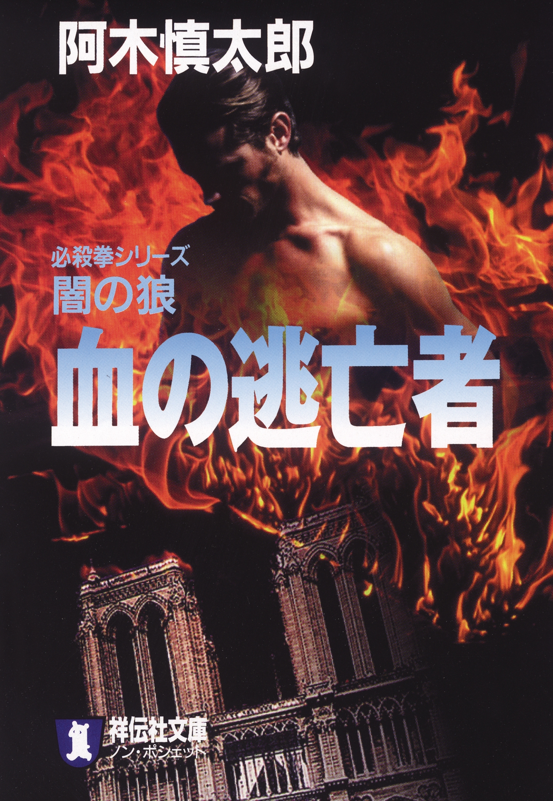 必殺拳シリーズ