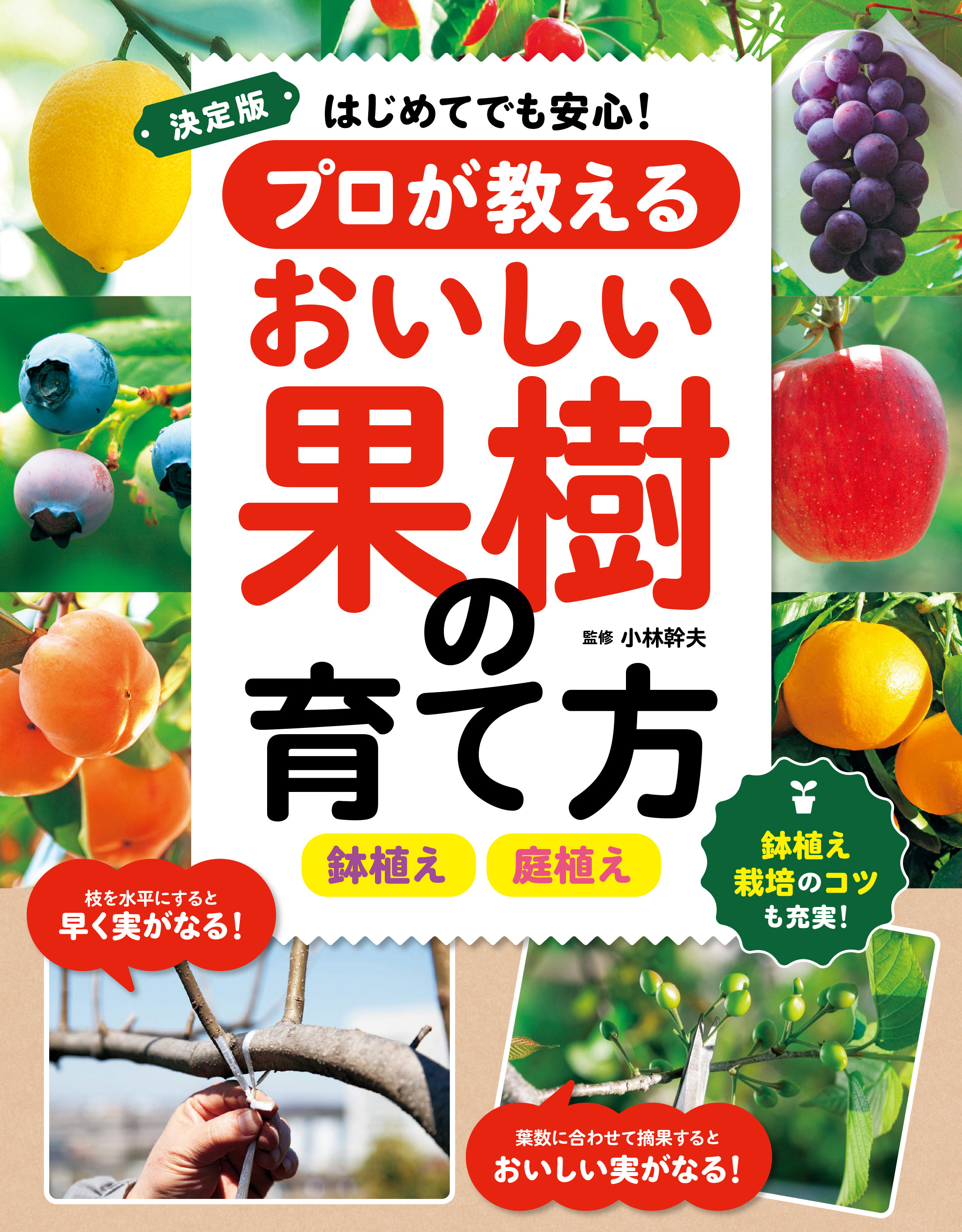 決定版　はじめてでも安心！プロが教えるおいしい果樹の育て方