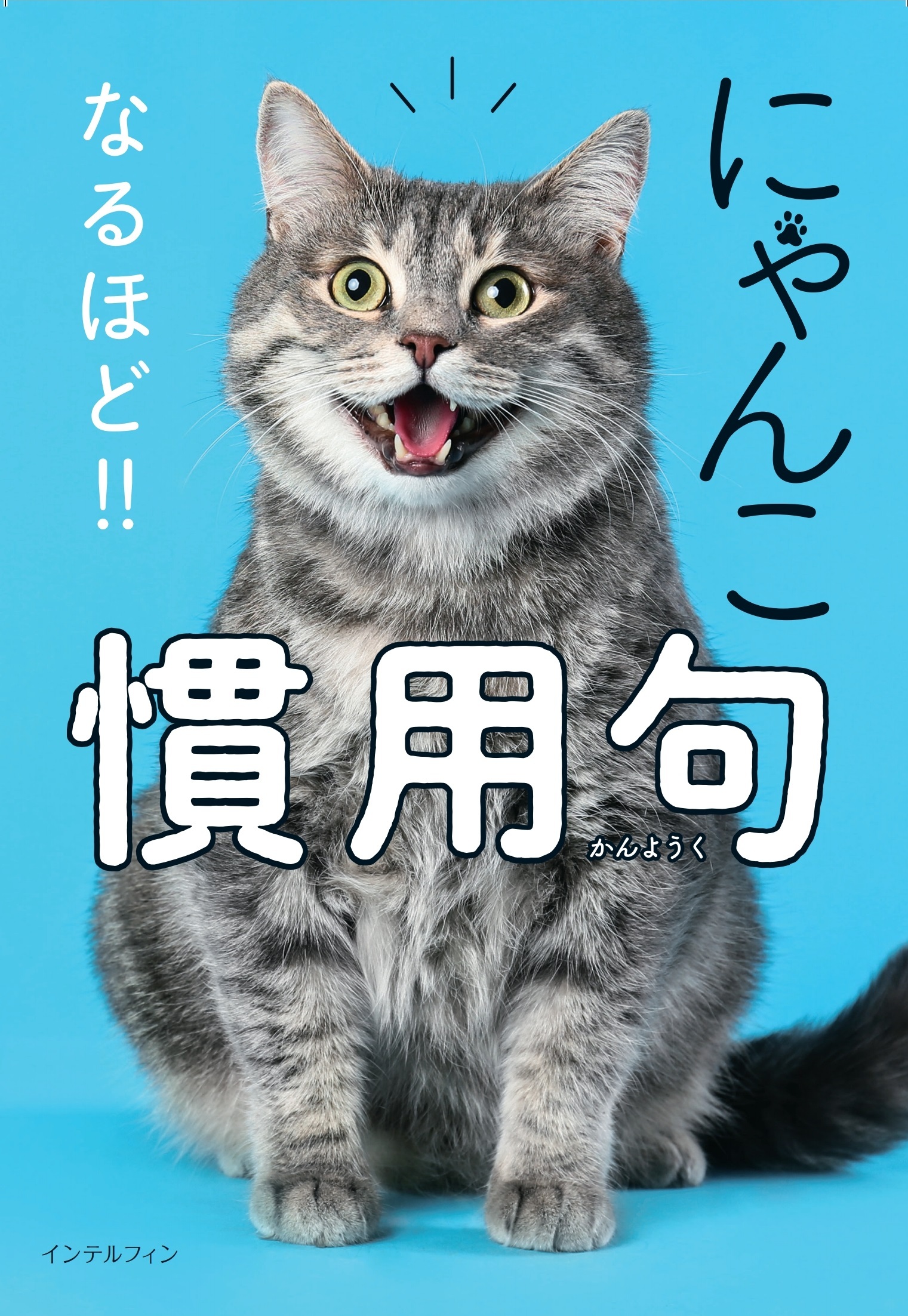 にゃんこ　なるほど！！　慣用句