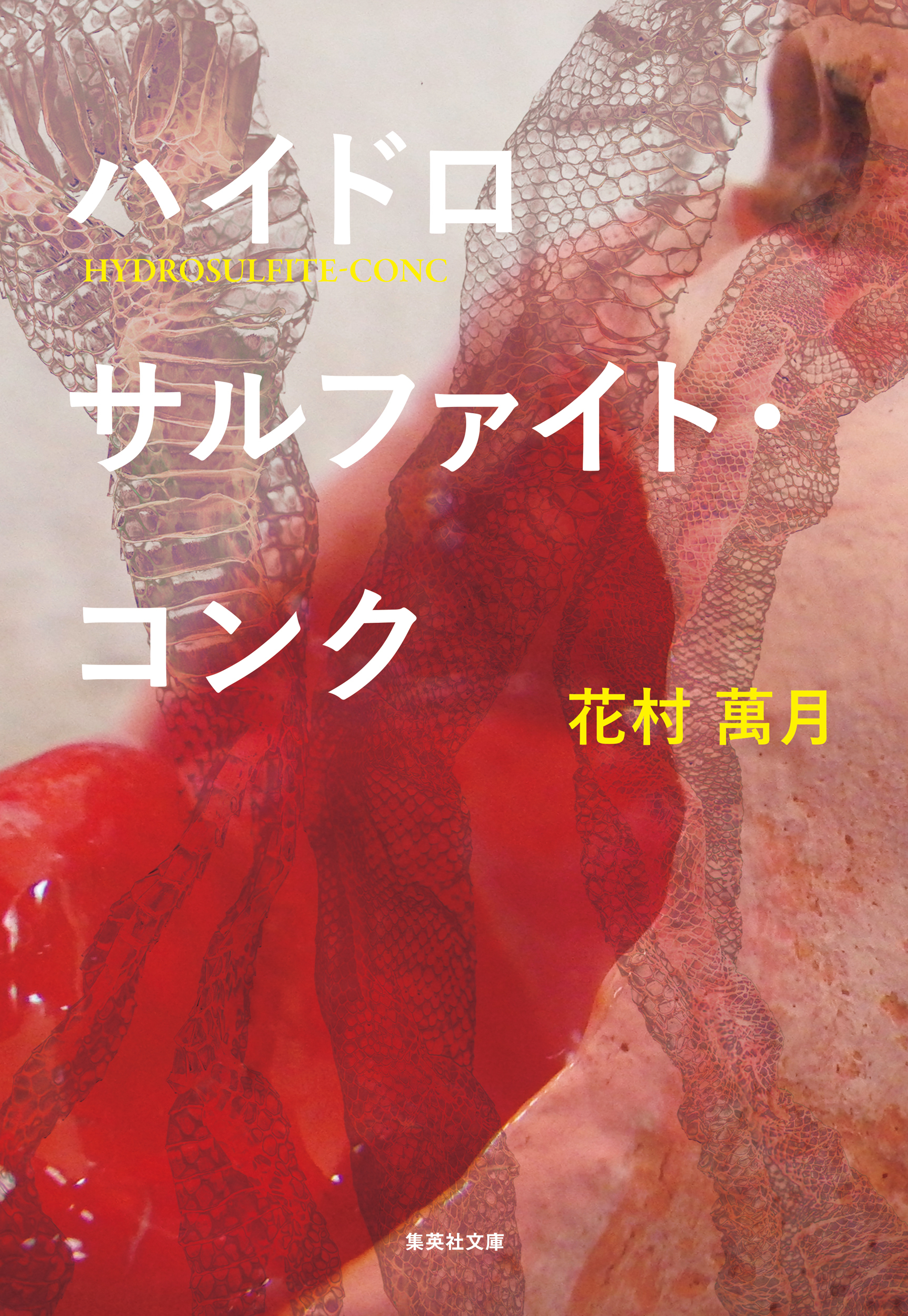 ハイドロサルファイト・コンク