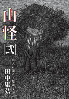 山怪 弐 山人が語る不思議な話