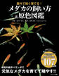 屋外で強く育てる! メダカの飼い方&原色図鑑