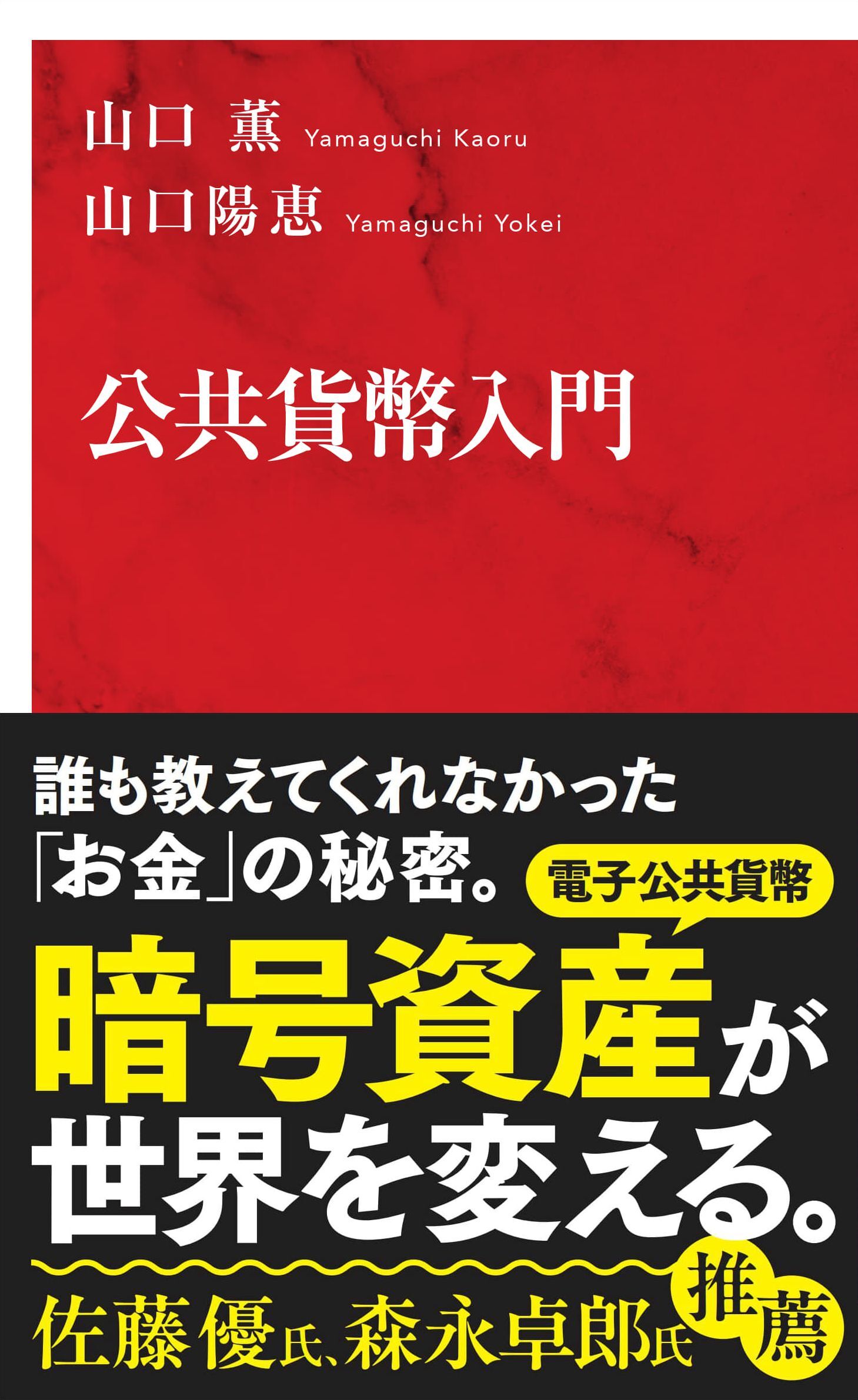 公共貨幣入門（インターナショナル新書）