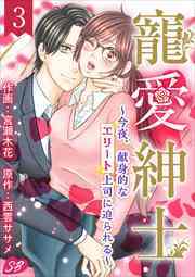 寵愛紳士～今夜、献身的なエリート上司に迫られる～3